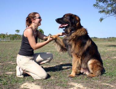 Leonberger ve kız