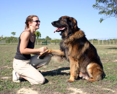 Leonberger ve kız