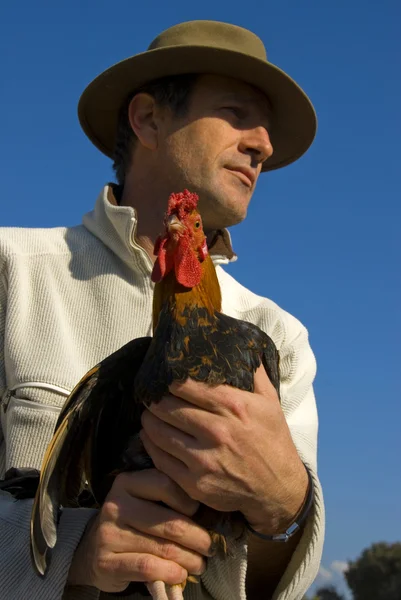 stock image Man and chicken