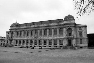 Museum d'histoire naturelle