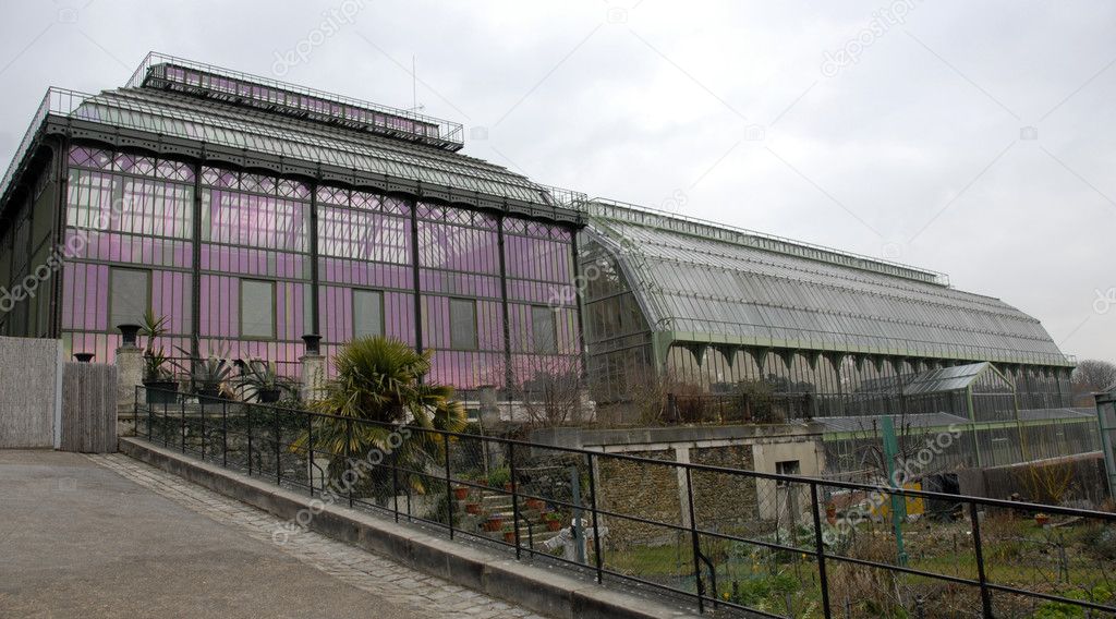 Greenhouses of museum in Paris