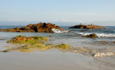 corse vahşi beach