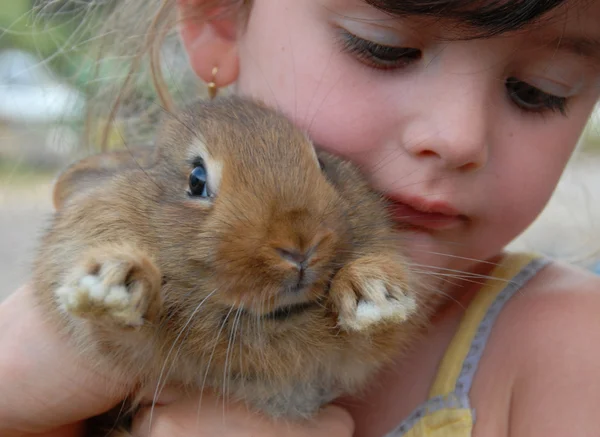 Klein meisje en bunny — Stockfoto