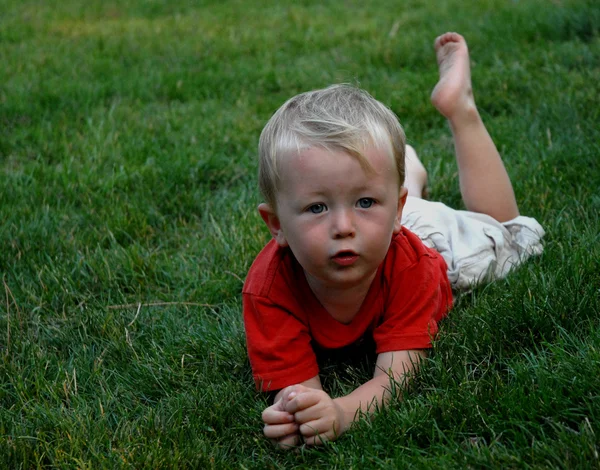 เด็กชายในหญ้า — ภาพถ่ายสต็อก