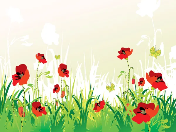 Red poppies backround — Stock Vector