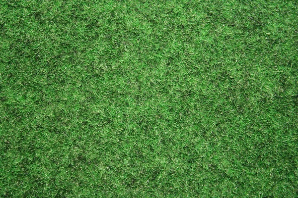 stock image Grass