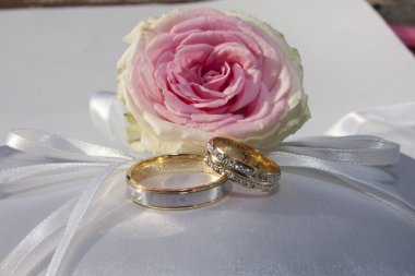 Cushion marriage alliances