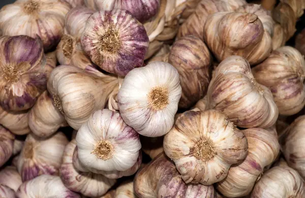 stock image Heads of garlic