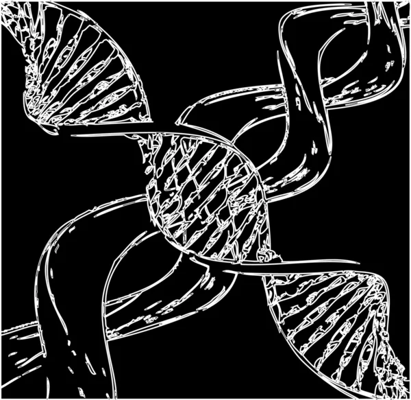 DNA — Stockový vektor