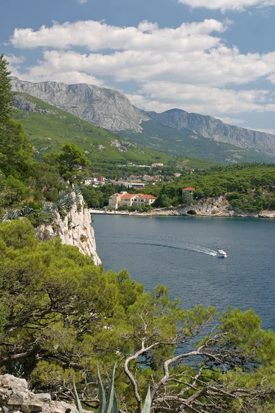 stock image The yacht in Adriatic sea