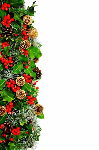 Christmas holly hranice vertikální — Stock fotografie