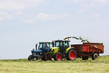 Chopping silage clipart