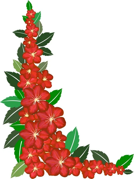 Red flower frame on white — Stock Photo, Image