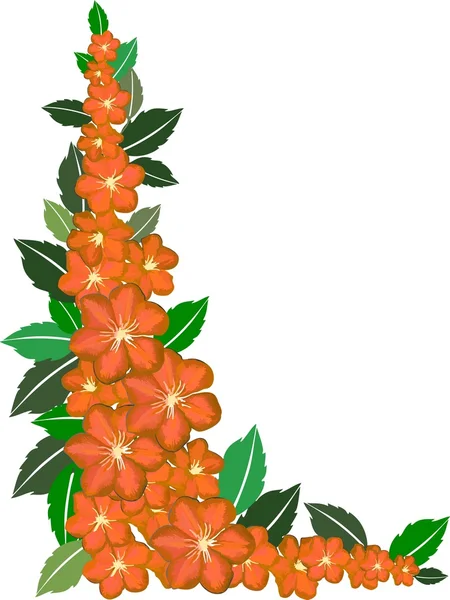 Orange blomma ram på vit — Stockfoto