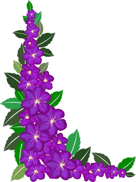Violet flower frame on white — Stock Photo, Image