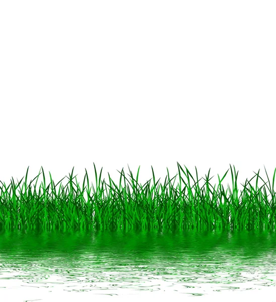 Green grass near water — Stock Photo, Image