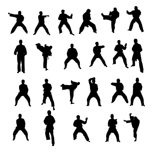 Silhouette di atleti di arti marziali — Foto Stock