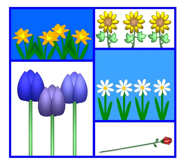 Illustration of several flowers — Stock Photo, Image