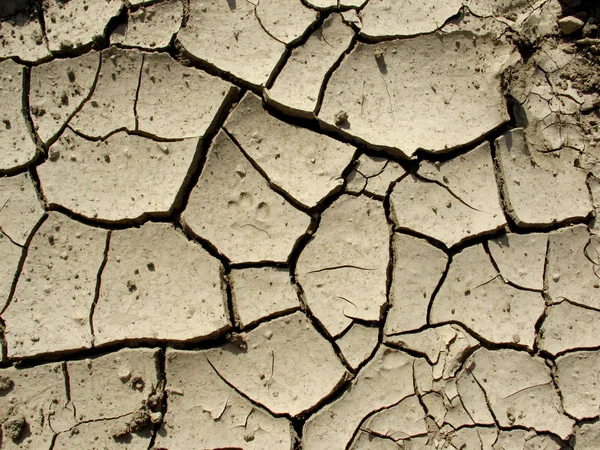 Terreno rachado, um conceito de aquecimento global — Fotografia de Stock
