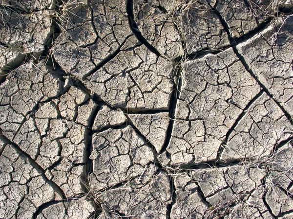 Terreno rachado, um conceito de aquecimento global — Fotografia de Stock