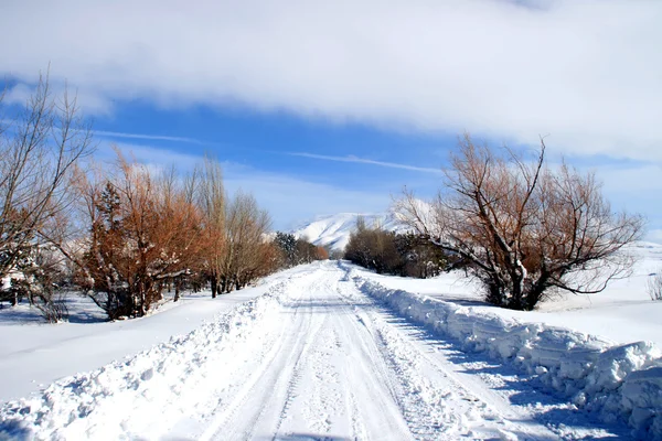 アルメニアでの冬の道 ストック写真