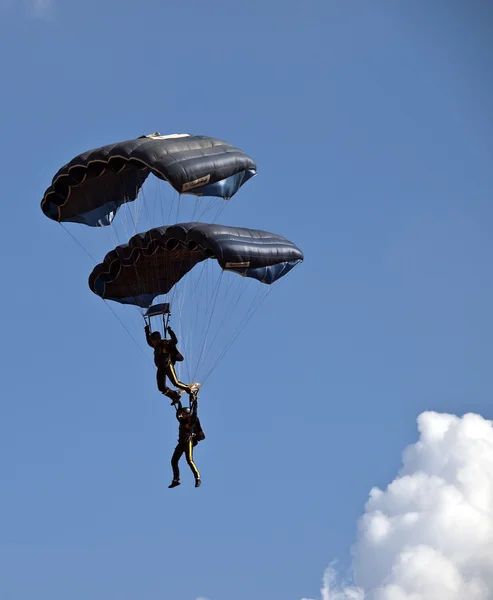 Kaplanlar freefall paraşüt ekibi — Stok fotoğraf