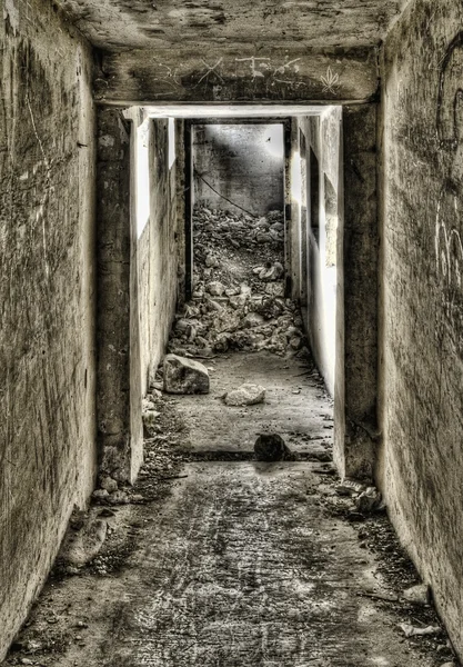 지하실 — 스톡 사진