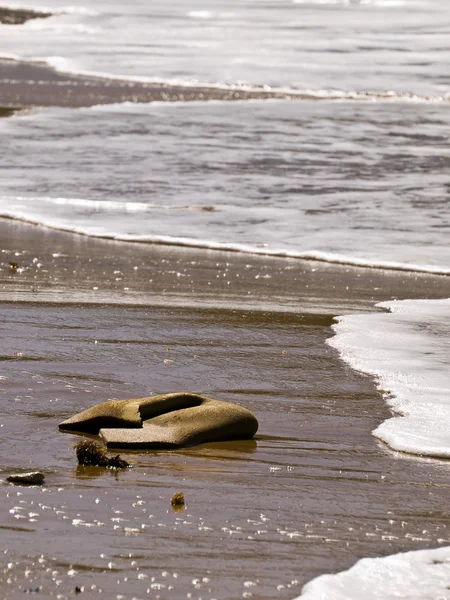 stock image Washed Ashore