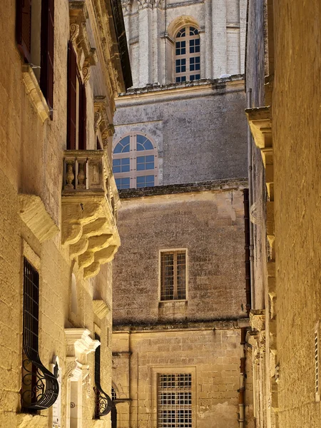 Katedral görünümü — Stok fotoğraf