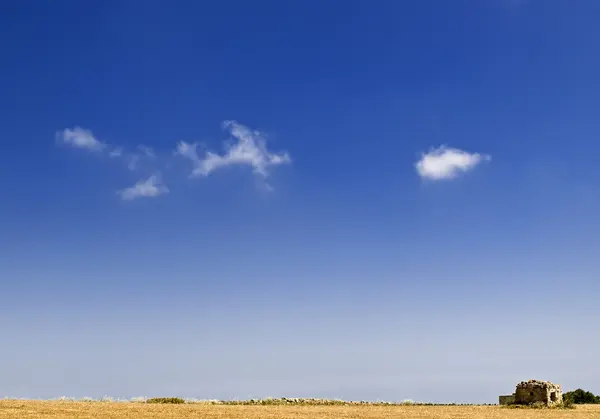 stock image Field