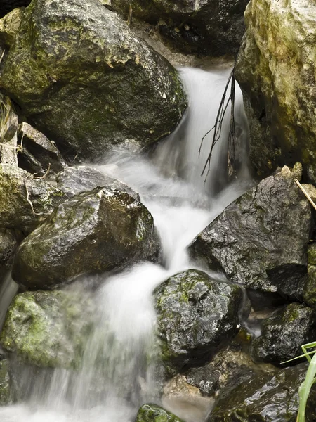 stock image Flowing Springwater