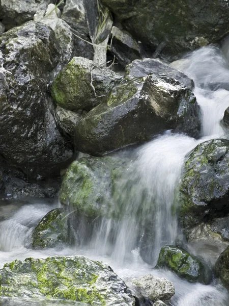 stock image Flowing Springwater