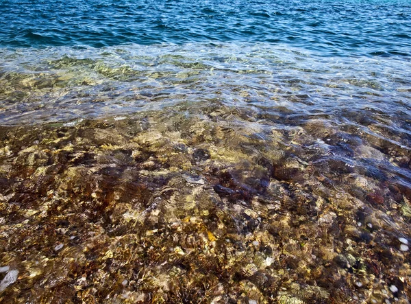 바위 암초 — 스톡 사진