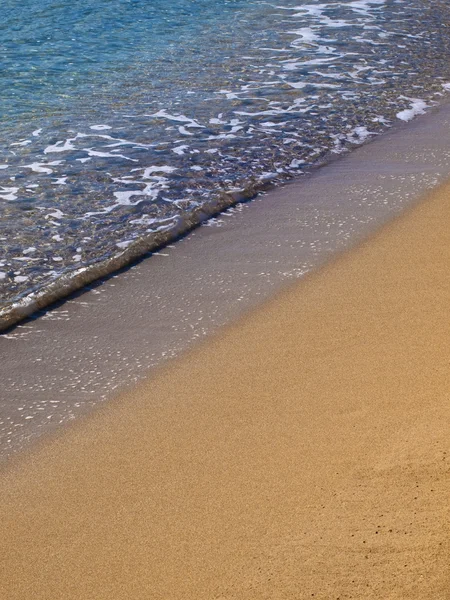 Tropical Beach Detail — Stock Photo, Image