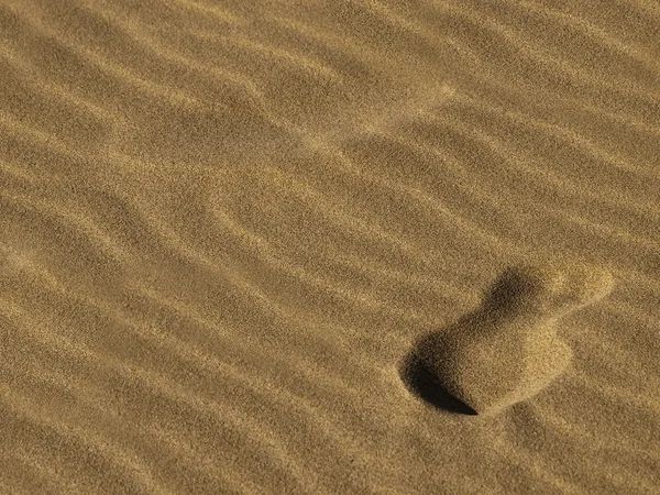 Voetstap in het zand — Stockfoto