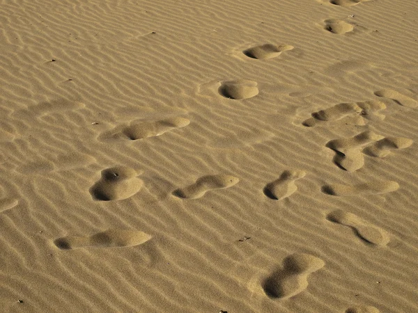 Kroki w piasku — Zdjęcie stockowe