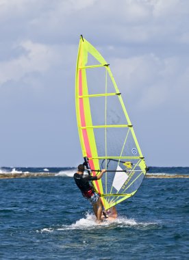 Windsurfing clipart