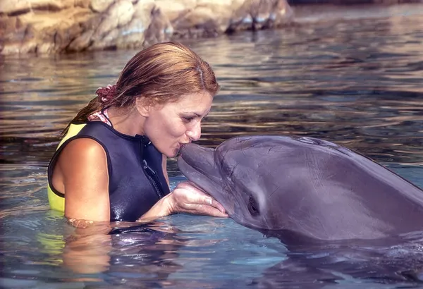 Μπουκάλι μύτη δελφίνι — Φωτογραφία Αρχείου