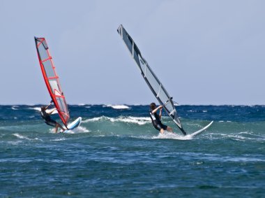 Windsurfing clipart