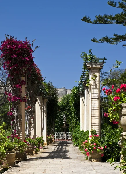 Jardim Mediterrâneo — Fotografia de Stock