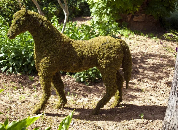 Gartenpferd — Stockfoto