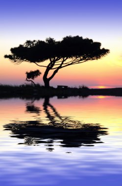 Tranquility at Water's Edge clipart