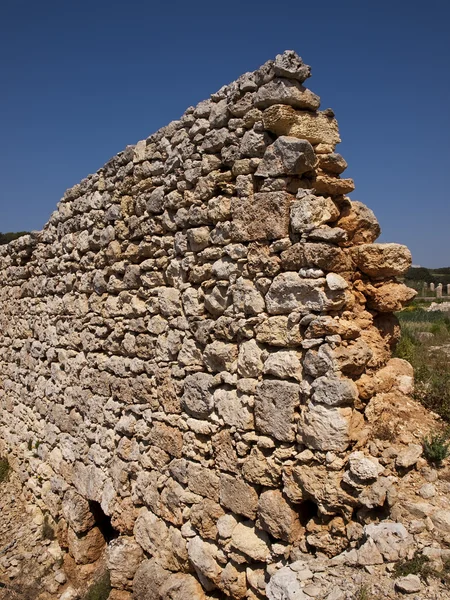 Gamla romerska muren — Stockfoto