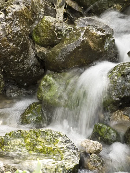 stock image Flowing Springwater