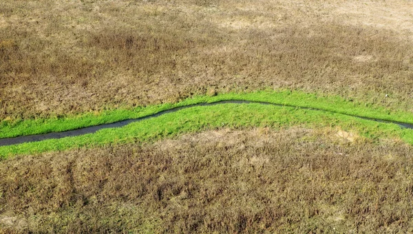 Kis patak fut zöld fű között Jogdíjmentes Stock Képek