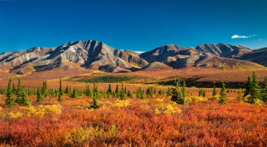 Denali National Park in autumn clipart