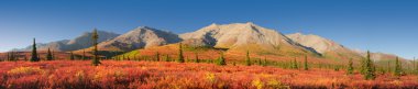 Alaska autumn Denali National Park clipart