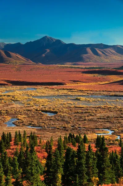 Parco Nazionale di Denali in autunno — Foto Stock