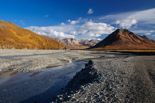 Rzeka toklat park narodowy Denali — Zdjęcie stockowe