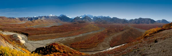 stock image Denali National Park Polychrome Pass